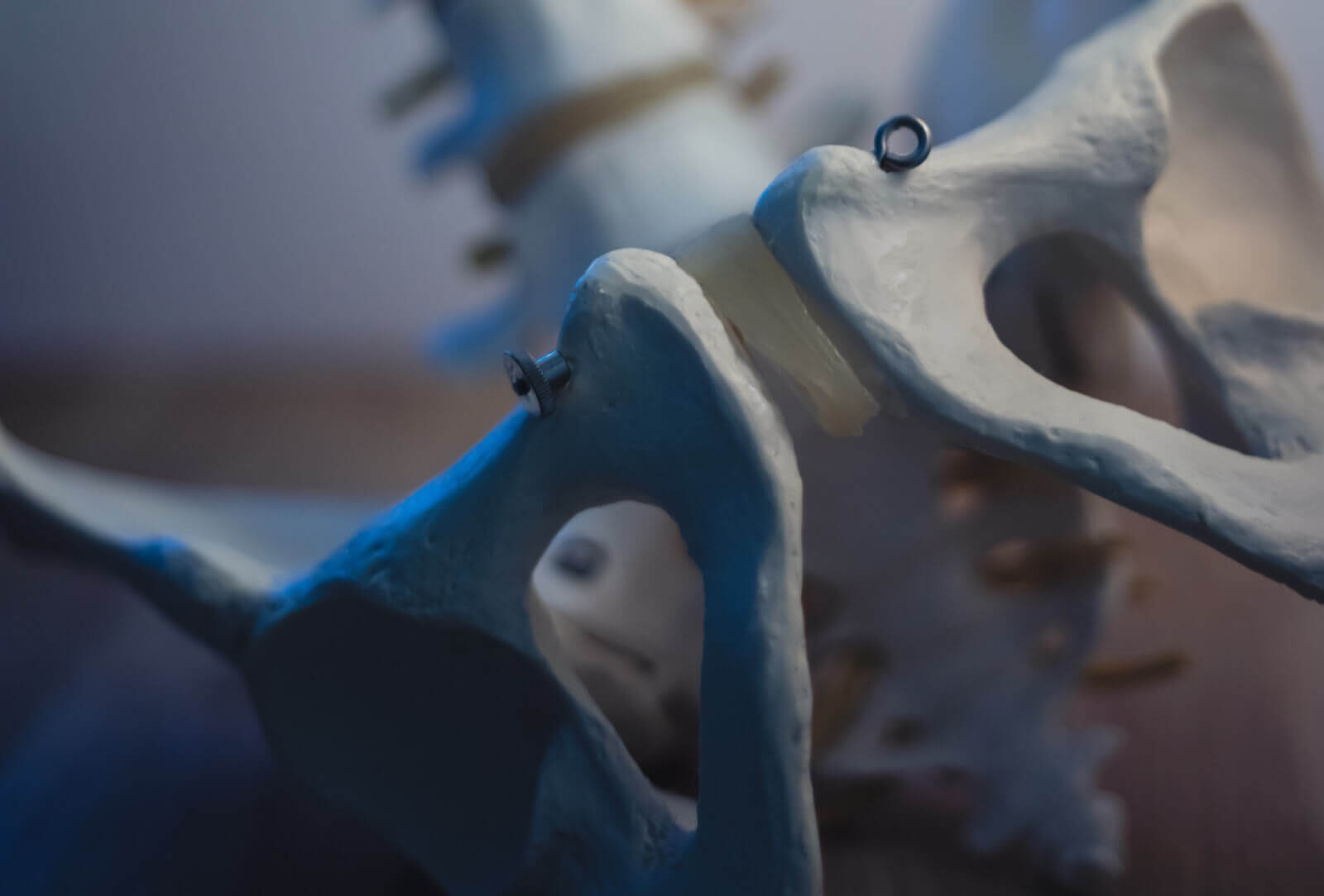 Das Becken mit dem Beckenboden