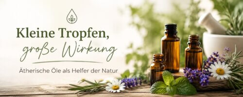 Kleine Tropfen, große Wirkung – Ätherische Öle als Helfer der Natur
